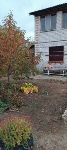 «Мичуринец-2, участок 2836